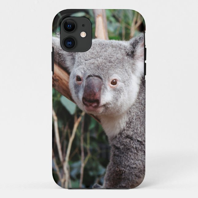 Featherdale Wildlife Park, Koala Bears Case-Mate iPhone Case (Back)