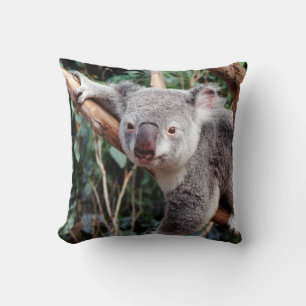 Featherdale Wildlife Park, Koala Bears Cushion