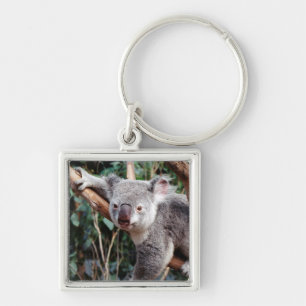 Featherdale Wildlife Park, Koala Bears Key Ring