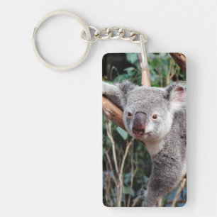 Featherdale Wildlife Park, Koala Bears Key Ring