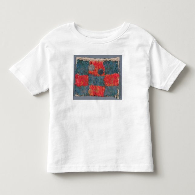 Feathered cape toddler T-Shirt (Front)