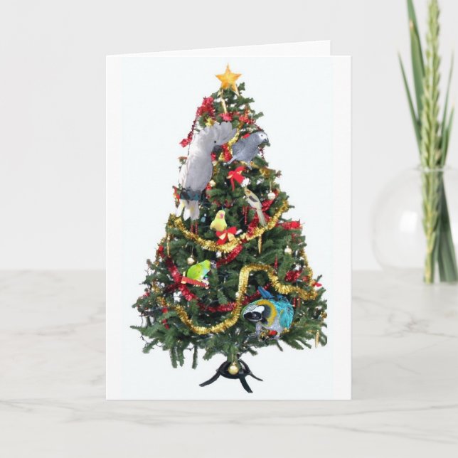 Feathered Family Christmas Card (Front)