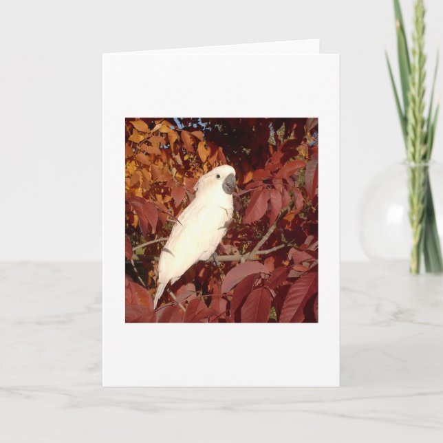 Feathered Family Cockatoo Note Card (Front)