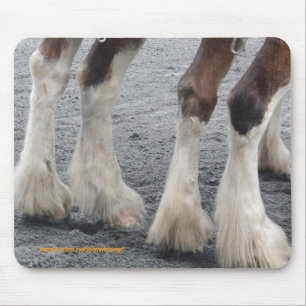 Feathered Feet Mouse Mat