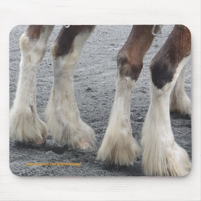 Feathered Feet Mouse Mat (Front)
