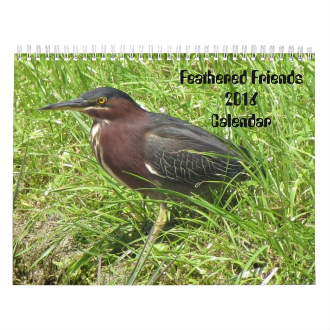 Feathered Friends 2016 (Encore) Calendar (Cover)