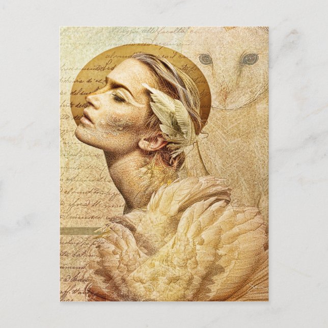 feathered friends post card (Front)