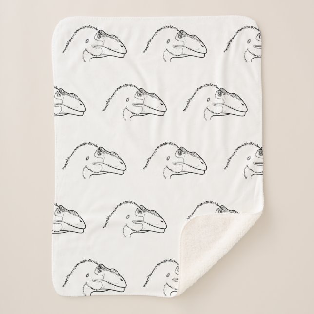 Feathered Siats meekerorum Sherpa blanket (Front)