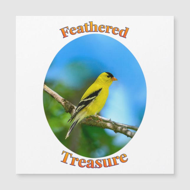 Feathered Treasure - American Goldfinch  (Front)