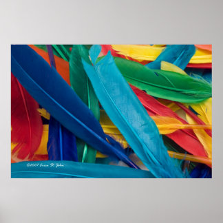 Featherly Poster