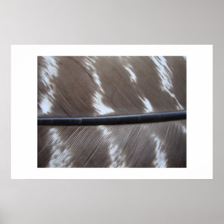 featherphoto 007 poster