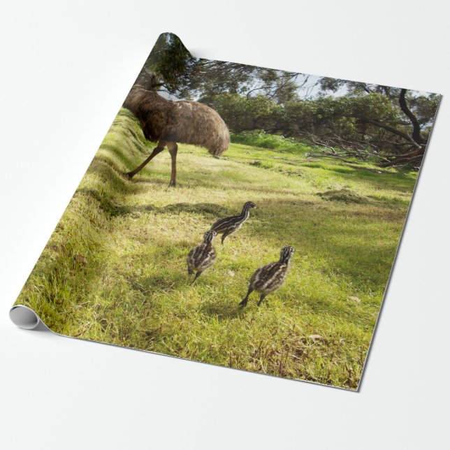 Feathers and Footsteps:  Father Emu's With Chicks Wrapping Paper (Unrolled)