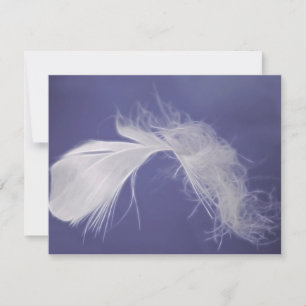 Feathers are symbols of spirituality