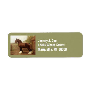 Feathers Clydesdale Draught Horse Address Labels