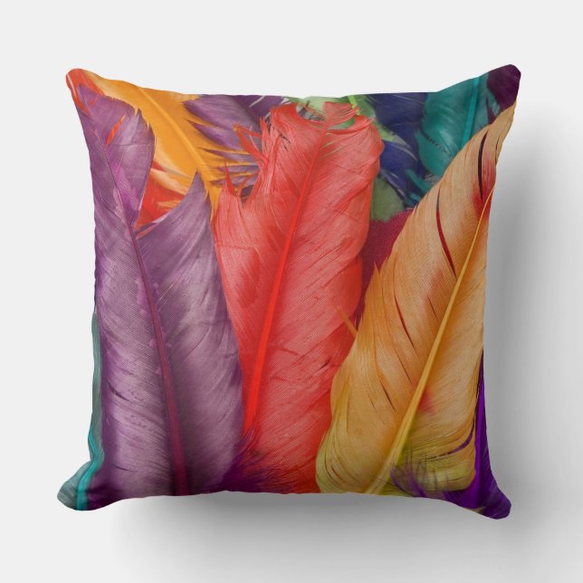Feathers Cushion (Front)