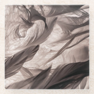 Feathers Glass Coaster