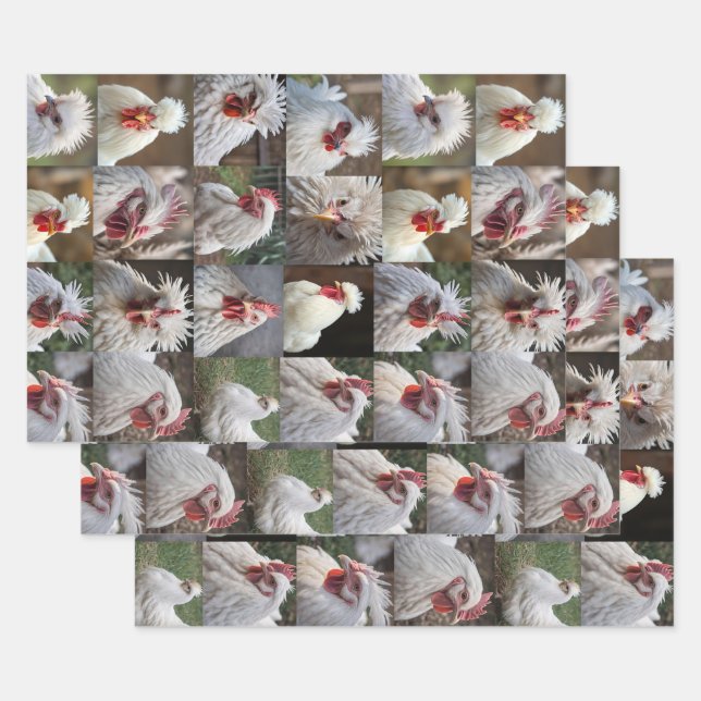 "Feathers in Focus: A White Chicken's Portrait" Wrapping Paper Sheet (Set)
