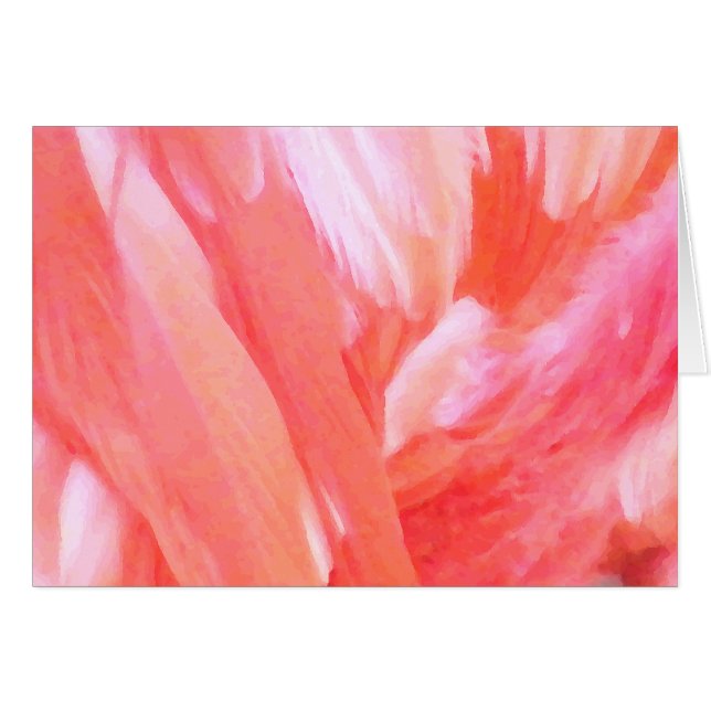 Feathers of Flamingo_ (Front Horizontal)