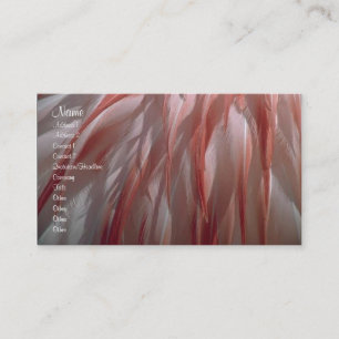 Feathers Profile Card