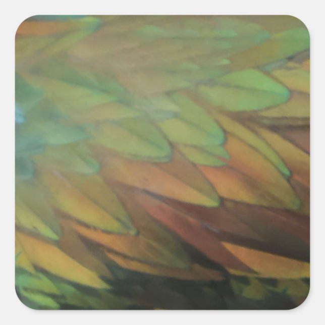 Feathers Square Sticker (Front)
