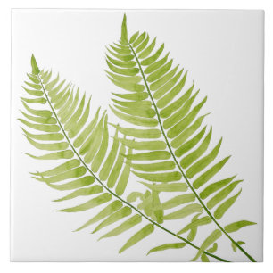 Feathery Fern on a Ceramic Tile