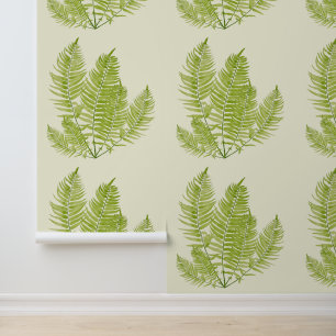 Feathery Fern on a  Wallpaper
