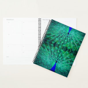 featuring the beautiful green, blue and turquoise planner