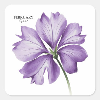 February Birthday Flower: Violet Personalized Gift Square Sticker