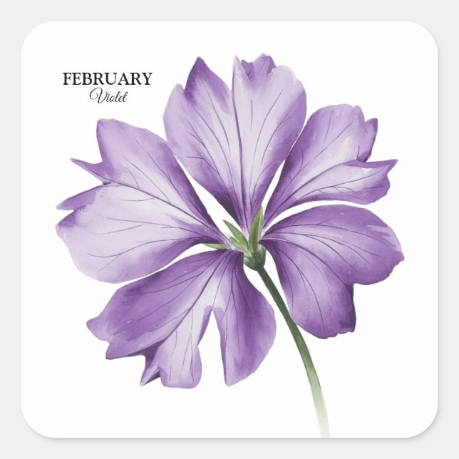 February Birthday Flower: Violet Personalized Gift Square Sticker (Front)