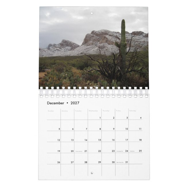 February - January 2019 Calendar (Dec 2027)