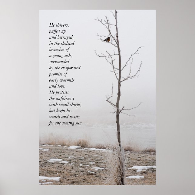 February Robin Nature Poster with Poem (Front)