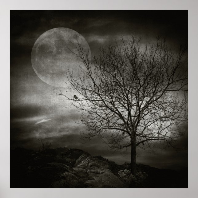 February Tree Poster (Front)