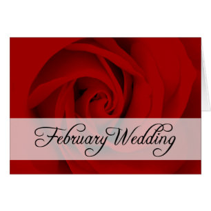 February Wedding : rose of the season :