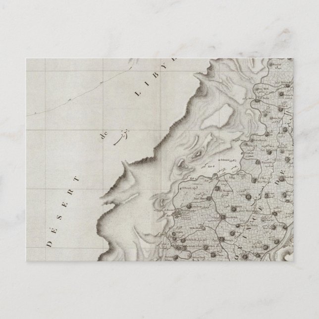 Fechn, Egypt Postcard (Front)