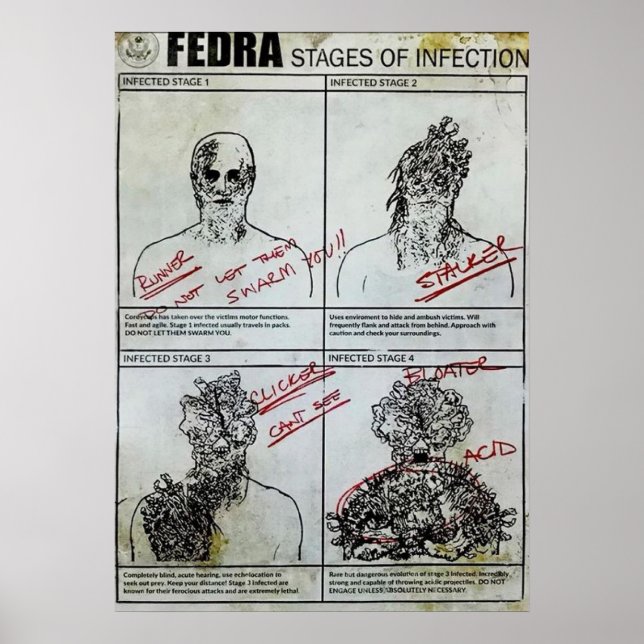  Fedra Stages of infection Poster (Front)