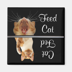 Feed Fed Cat Magnet Fun Cute
