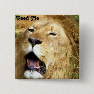 Feed Me_ Button