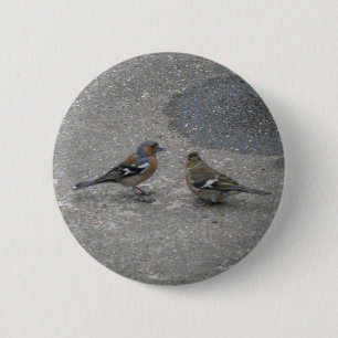 Feed Me Chaffinch Button