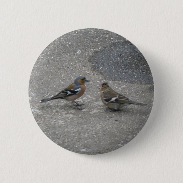 Feed Me Chaffinch Button (Front)
