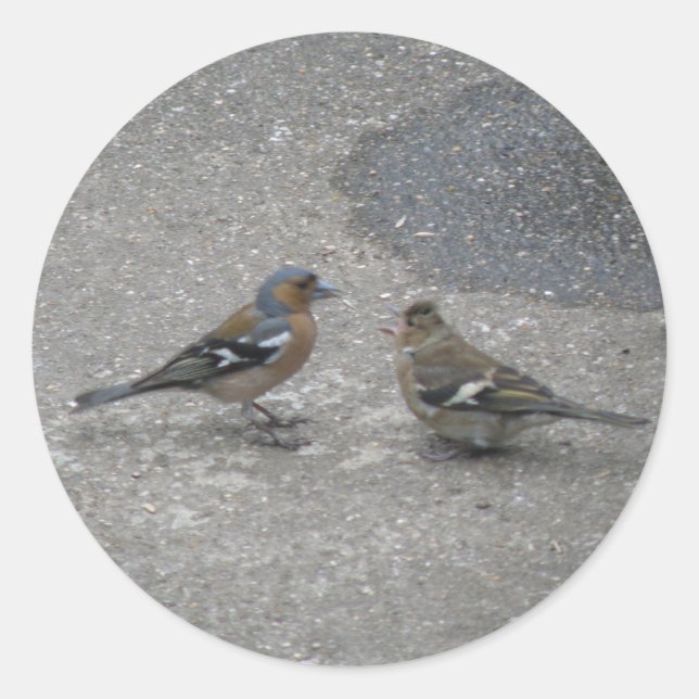 Feed Me Chaffinch Sticker (Front)
