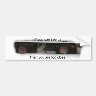 Feed Me Rattie Bumper Sticker