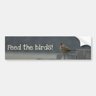 "Feed the birds" bumper sticker