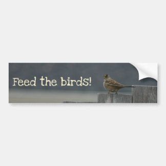 "Feed the birds" bumper sticker