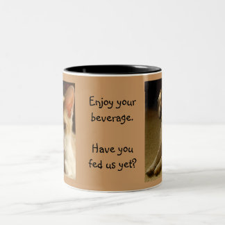Feed the Pets Mug