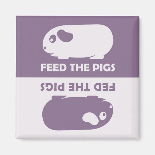 Image of Feed the Pigs - Guinea Pig Fridge Magnet