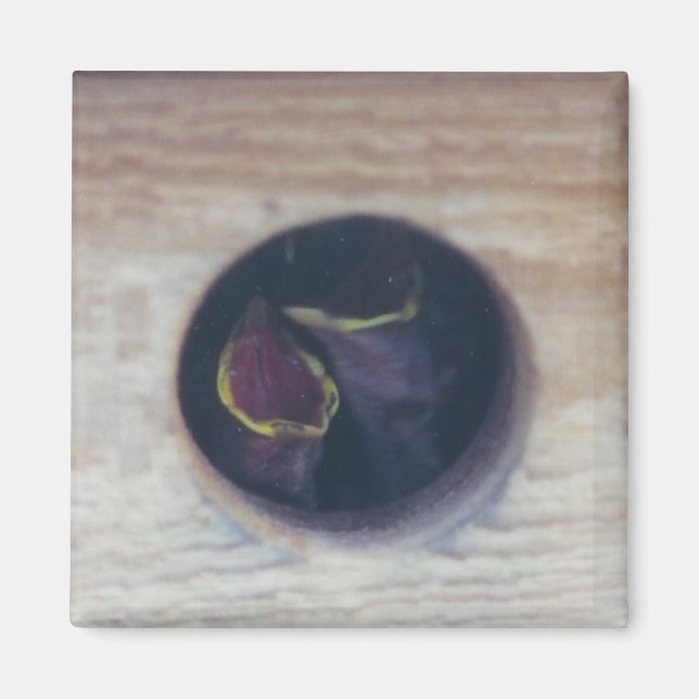 FEED US! - magnet (Front)