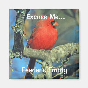 Feeder's Empty Cardinal Magnet
