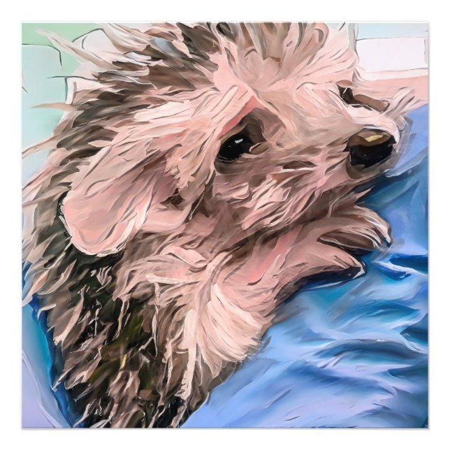 feeding a tiny and orphaned baby hedgehog  photo print (Front)