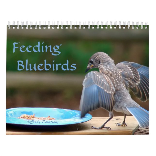 Feeding Bluebirds Calendar (Cover)