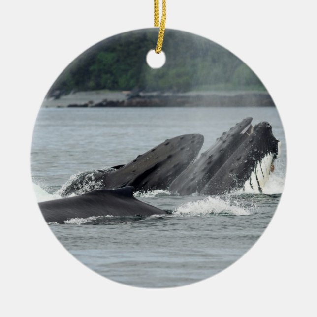 Feeding Humpback Whales Ceramic Tree Decoration (Front)